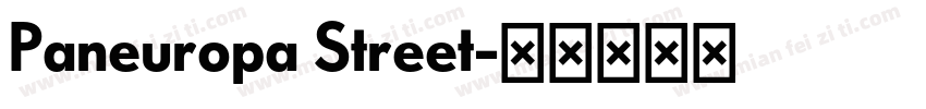 Paneuropa Street字体转换